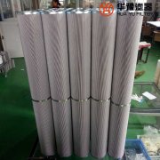 華豫生產(chǎn)電廠(chǎng)西德福雙聯(lián)管路濾芯LS003L10B